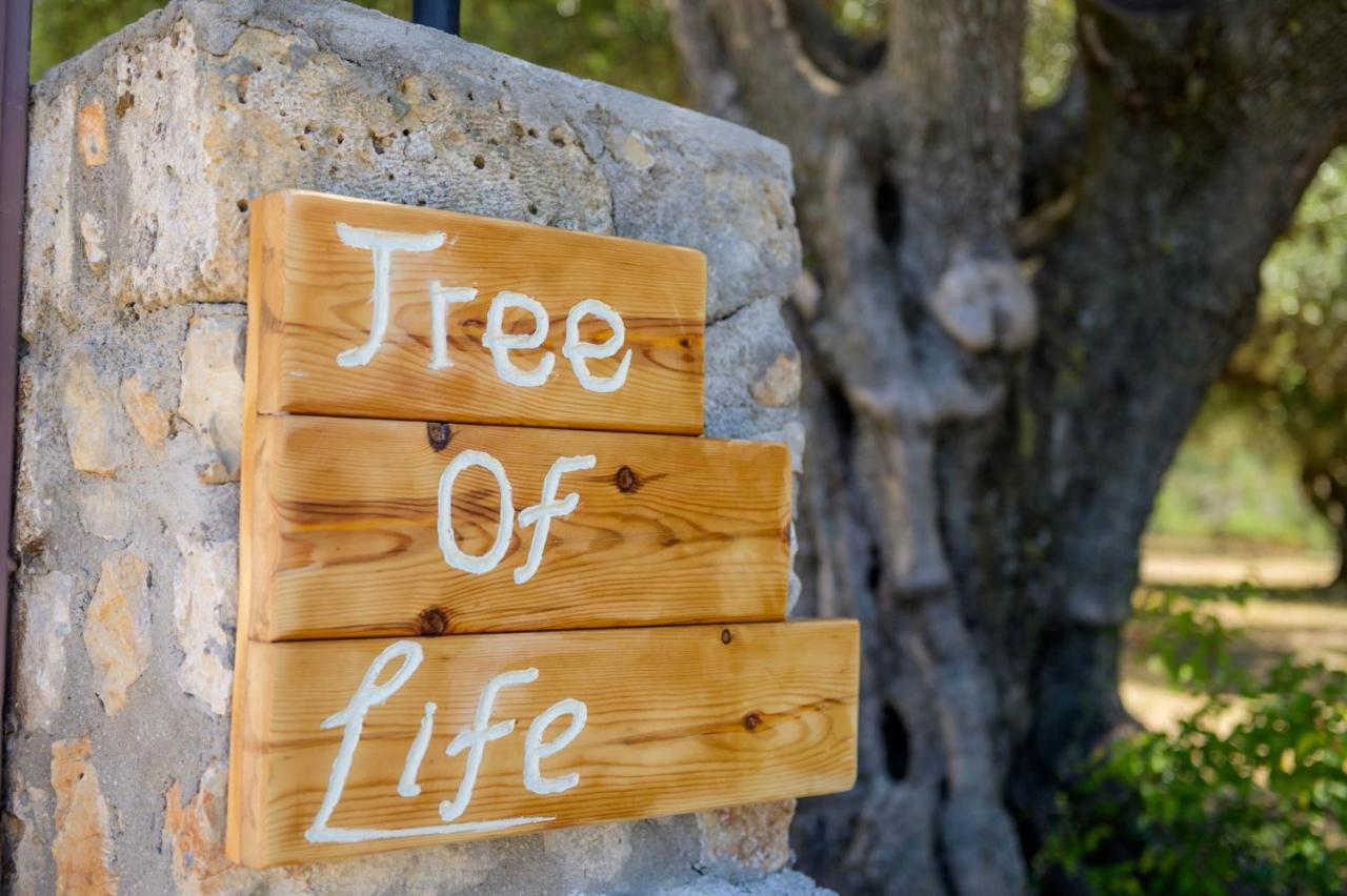 Вилла Tree Of Life Valerianos Экстерьер фото